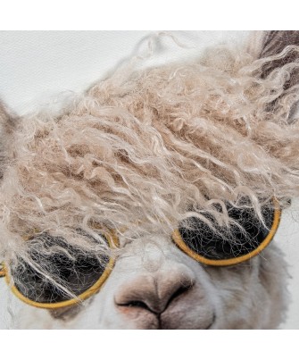 Cuadro Panorámico de Llamas con Gafas 120x40 cm