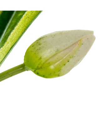Tulipanes Artificiales Blancos 39cm con Maceta | Nova Decoración