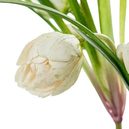 Tulipanes Artificiales Blancos 39cm con Maceta | Nova Decoración