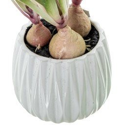 Tulipanes Artificiales Amarillos 39cm con Maceta | Nova Decoración