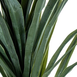 Planta Artificial Dracaena 120cm con Tronco | Nova Decoración