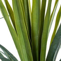 Planta Artificial Dracaena 120cm con Tronco | Nova Decoración