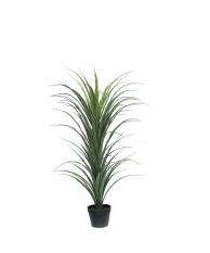 Planta Artificial Dracaena 120cm con Tronco | Nova Decoración