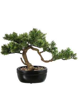 Bonsái Artificial Ciprés 27cm con Maceta Cerámica | Nova Decoración