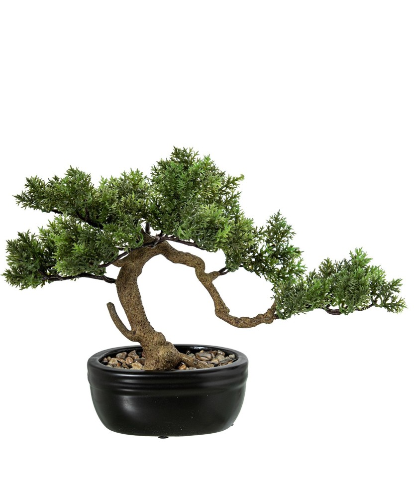 Bonsái Artificial Ciprés 27cm con Maceta Cerámica | Nova Decoración
