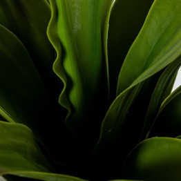 Planta Artificial Agave 70cm con Maceta Alta | Nova Decoración