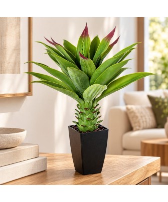 Planta Artificial Agave 70cm con Maceta Alta | Nova Decoración