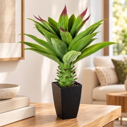 Planta Artificial Agave 70cm con Maceta Alta | Nova Decoración