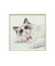 Cuadro de Gato con Gafas de Madera 60x60 cm | Nova Decoración
