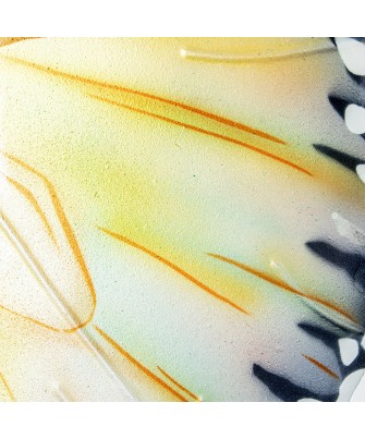 Mariposa de Pared Metal y Nácar Multicolor 45cm | Decoración