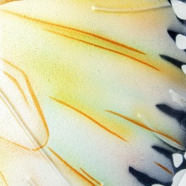 Mariposa de Pared Metal y Nácar Multicolor 45cm | Decoración
