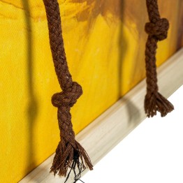 Cuadro de Caballo con Gafas y Marco de Madera 60x60 | Nova Decoración