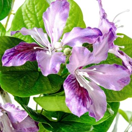 Árbol de Orquídeas Violetas Artificial 120cm | Tienda Online