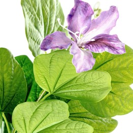 Árbol de Orquídeas Violetas Artificial 120cm | Tienda Online