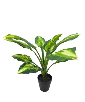 Planta Artificial Aglaonema 50cm | Decoración Económica