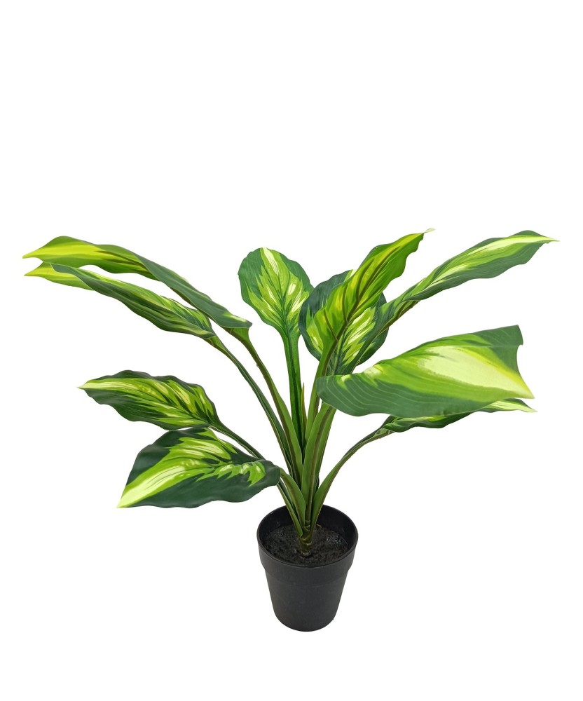 Planta Artificial Aglaonema 50cm | Decoración Económica