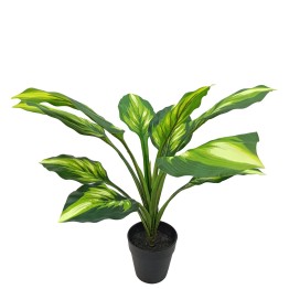 Planta Artificial Aglaonema 50cm | Decoración Económica