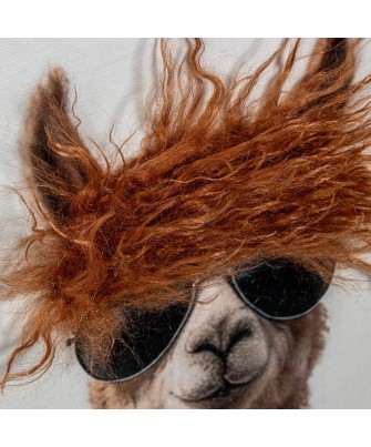 Cuadro Panorámico de Llamas con Gafas 120x40 cm